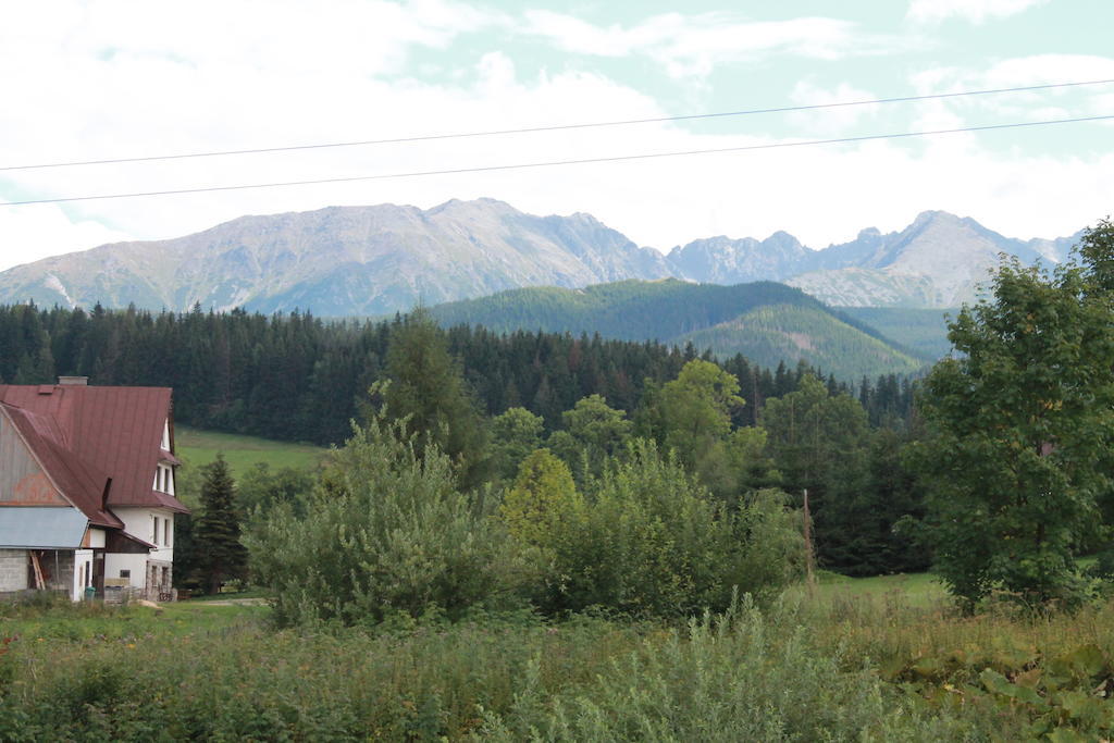 Willa Siklawa Zakopane Habitación foto
